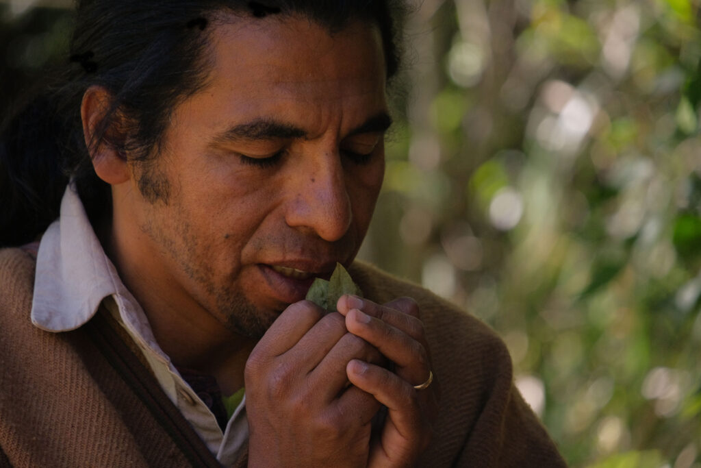 The programs featured image