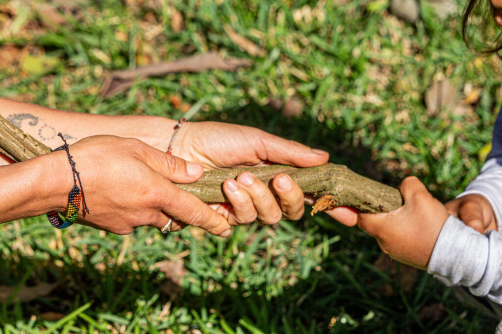 The programs featured image